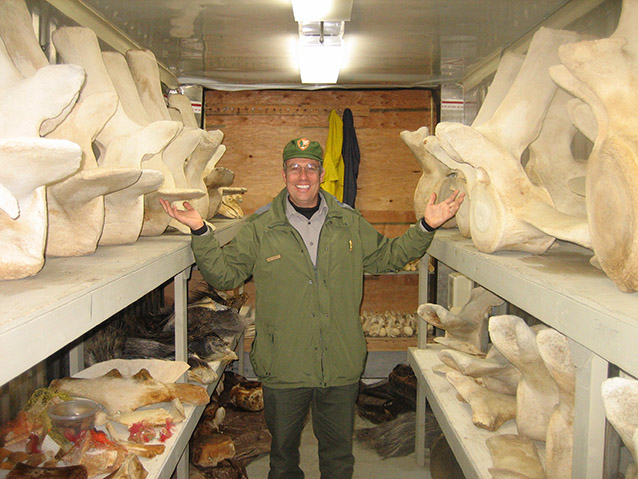 a ranger standing in a building filled with shelves of whalebone a ranger standing in a building filled with shelves of whalebone
