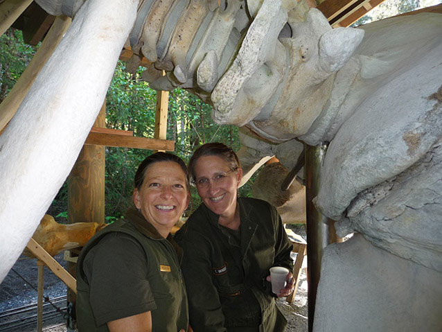 two women standing beneath a whale skeleton