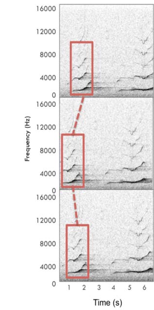 three line charts