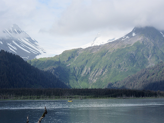 forested mountains overlooking a calm bay