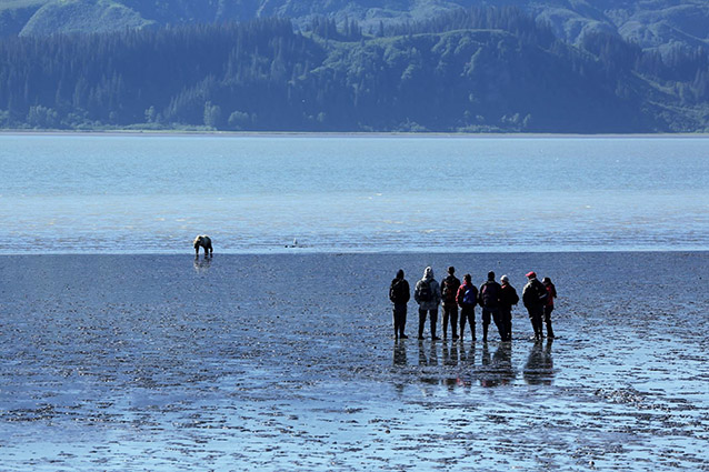 people standing on a beach looking at a distant bear