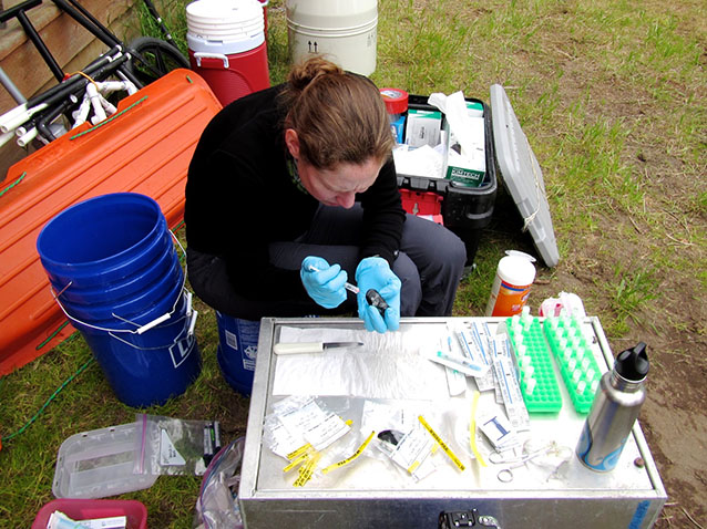 A woman kneeling outside, surrounded by scientific instruments and other equipment