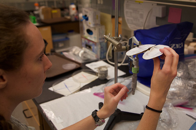 a woman measuring a clam