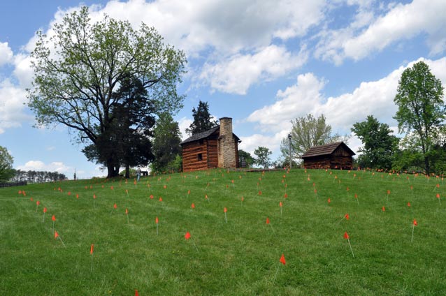 Rows of evenly spaced survey flags in a green lawn surrounding a cabin 