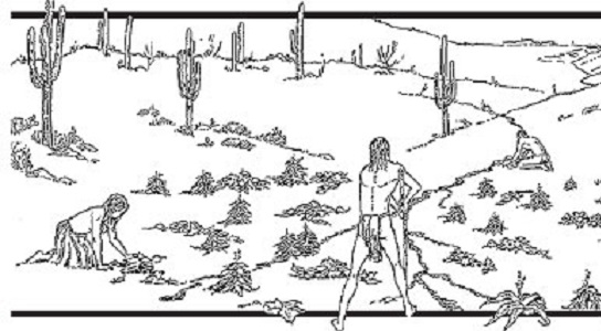 Hohokam irrigation illustration Hohokam irrigation illustration