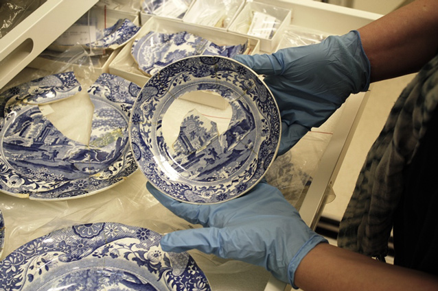 Curator wearing blue gloves and holding Spode saucer.