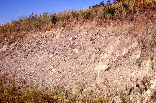 A road cut through a moraine in Yellowstone National Park (WY/MT) exposes the glacial till inside A road cut through a moraine in Yellowstone National Park (WY/MT) exposes the glacial till inside