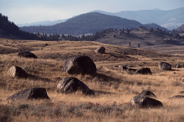 Glacial erratics dot a field in Yellowstone National Park (WY/MT) Glacial erratics dot a field in Yellowstone National Park (WY/MT)