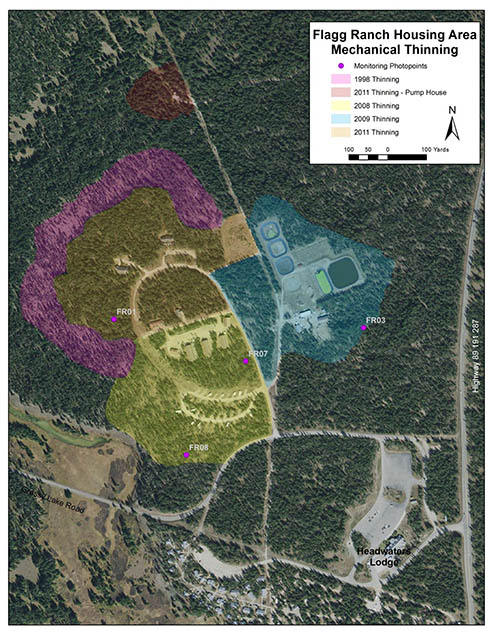 Flagg Ranch Mechanical Thinning