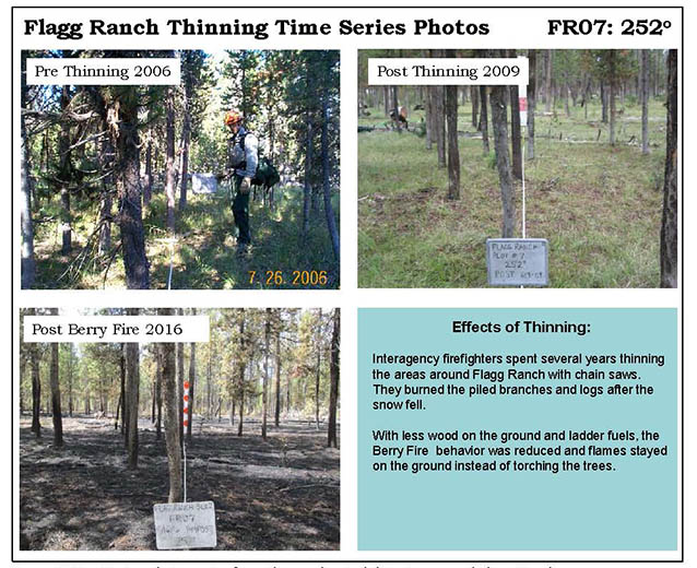 Flagg Ranch Fuel Treatment Time Series