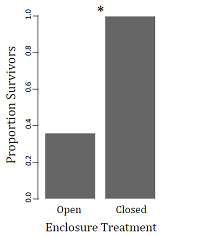 Graph of proportion of surviving lizards in different exclosure trial groups Graph of proportion of surviving lizards in different exclosure trial groups
