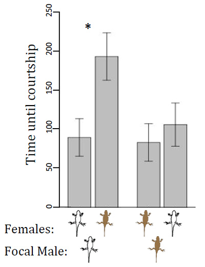 Graph of time before males began courting females with matching and different coloration Graph of time before males began courting females with matching and different coloration