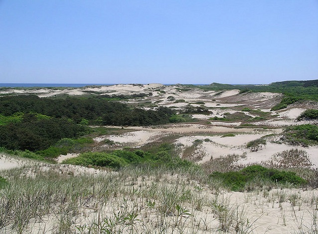 Coastal Dunes at Cape Cod National Seashore (Massachussets). NPSphoto Coastal Dunes at Cape Cod National Seashore (Massachussets). NPSphoto