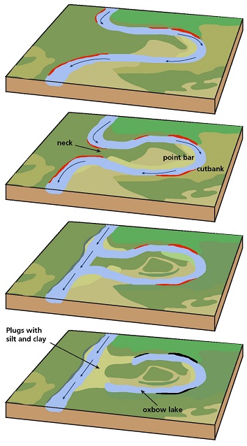 Oxbow lake formation in a meandering stream