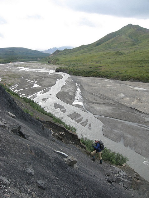 Braided river at Denali National Park (Alaksa) Braided river at Denali National Park (Alaksa)