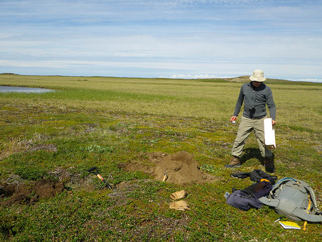 person standing in a tree-less field 