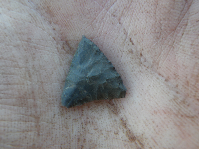closeup of a very small triangular stone in a person's hand