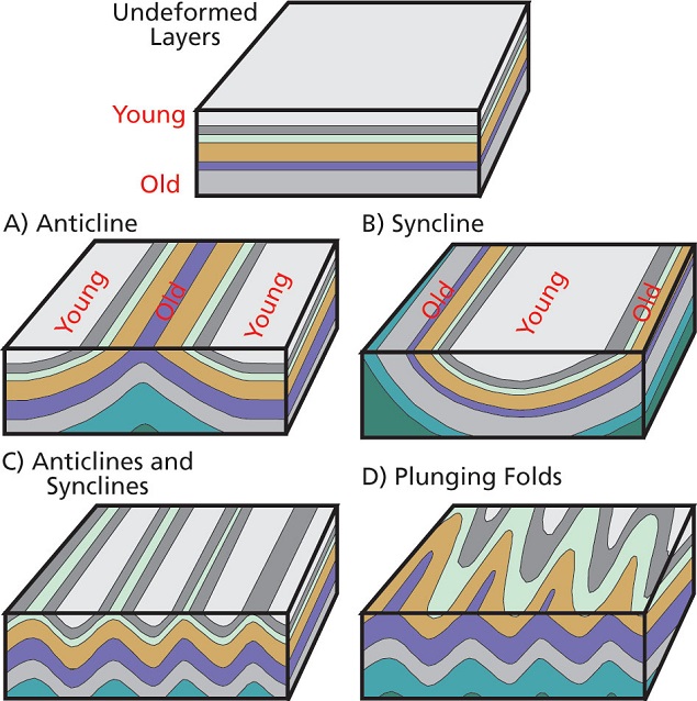 Tectonic Folding (U.S. National Park Service)