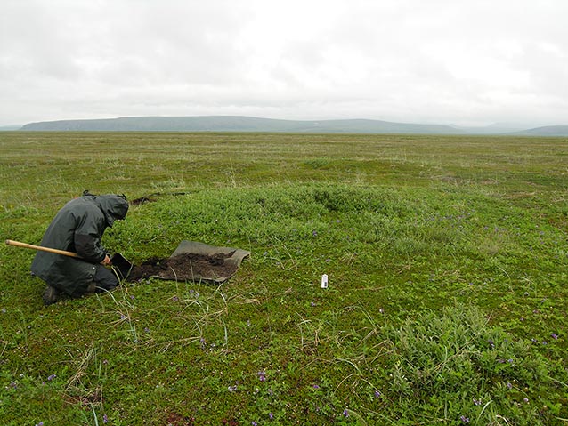 a person kneeling in a tree-less meadow a person kneeling in a tree-less meadow