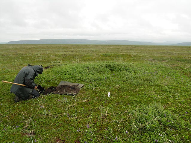 a person kneeling in a tree-less meadow