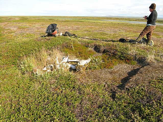 two people standing in a tree-less meadow