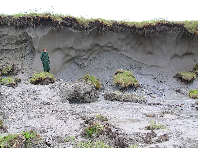 Cunei di ghiaccio formati dal congelamento dell&#8217;acqua che scorre verso il basso all&#8217;interno del permafrost. Credits: National Park Service.