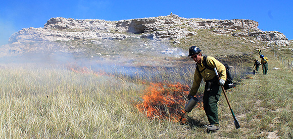 wildland firefighters at work on a RX fire