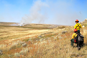 fire ecologist watching and monitoring a prescribed fire. fire ecologist watching and monitoring a prescribed fire.