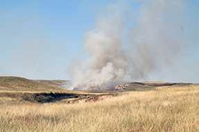 smoke from a prescribed wildland fire