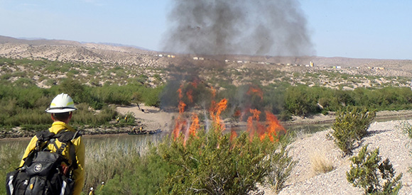 A firefighter stands near the bank of a river observing a fire. A firefighter stands near the bank of a river observing a fire.