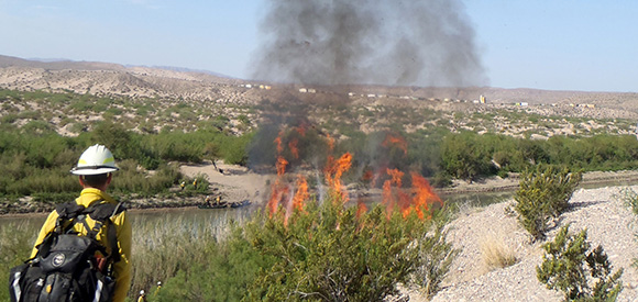 A firefighter stands near the bank of a river observing a fire.