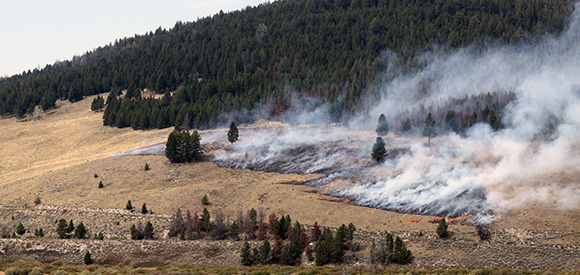 Smoke rising from area at the foot of a forested slope.