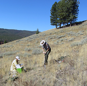 A man in National Park Service uniform uses a shovel to dig a hole