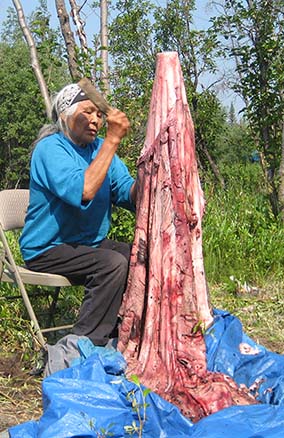 Image of woman cleaning a moose hide.