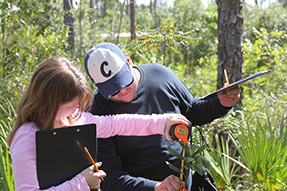 Two teachers use a tape measure to obtain plant height.