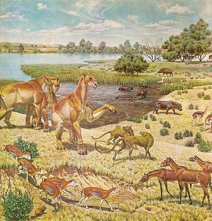 Miocene mural Miocene mural