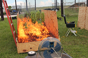 Wooden burn box with fire burning plants and fan adding wind. Wooden burn box with fire burning plants and fan adding wind.