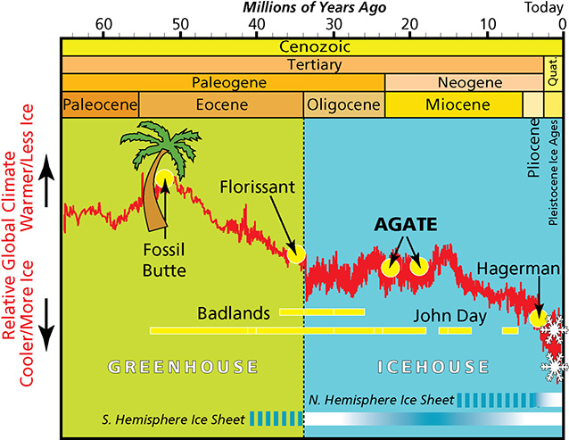 timeline showing relative global climate 65Ma-today