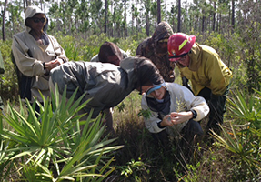 A group of people crouches to look at a larva.