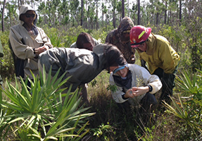 A group of people crouches to look at a larva. A group of people crouches to look at a larva.
