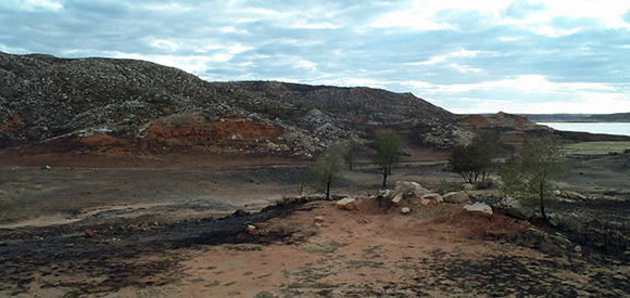 Burned hillside near lakeshore.