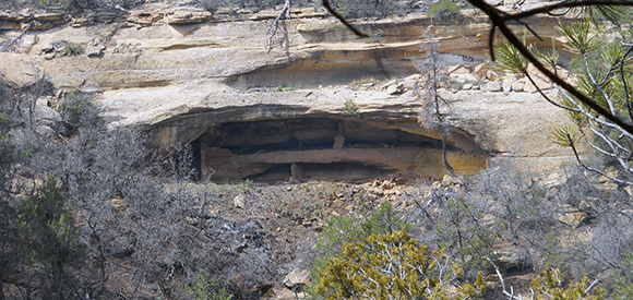 Vegetation grows in front of a prehistoric granary built into the cliff face.