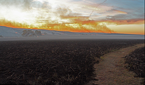 Smoke rises from low hills and a path winds through burned grasses and vegetation. Smoke rises from low hills and a path winds through burned grasses and vegetation.
