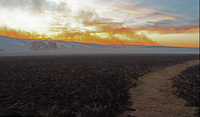 Smoke rises from low hills and a path winds through burned grasses and vegetation.