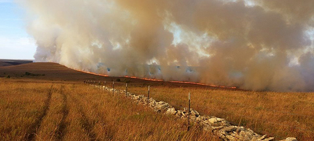 Landscape view of a line of fire at Tallgrass Prairie National Preserve Landscape view of a line of fire at Tallgrass Prairie National Preserve