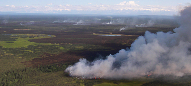 wildland fire aerial view at Denali National Park