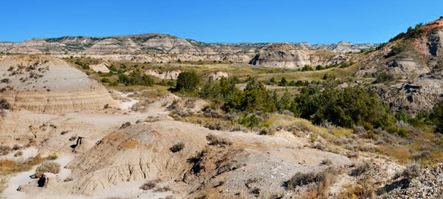 Brush and shrubs at Theodore Roosevelt National Park, North Dakota.