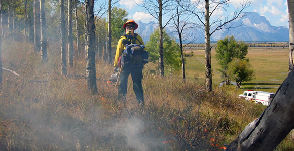 Firefighters monitor the prescribed fire as it burns Firefighters monitor the prescribed fire as it burns