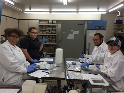 a group of students work together in a lab