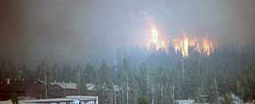 Crown fire at Yellowstone National Park, Wyoming. Crown fire at Yellowstone National Park, Wyoming.